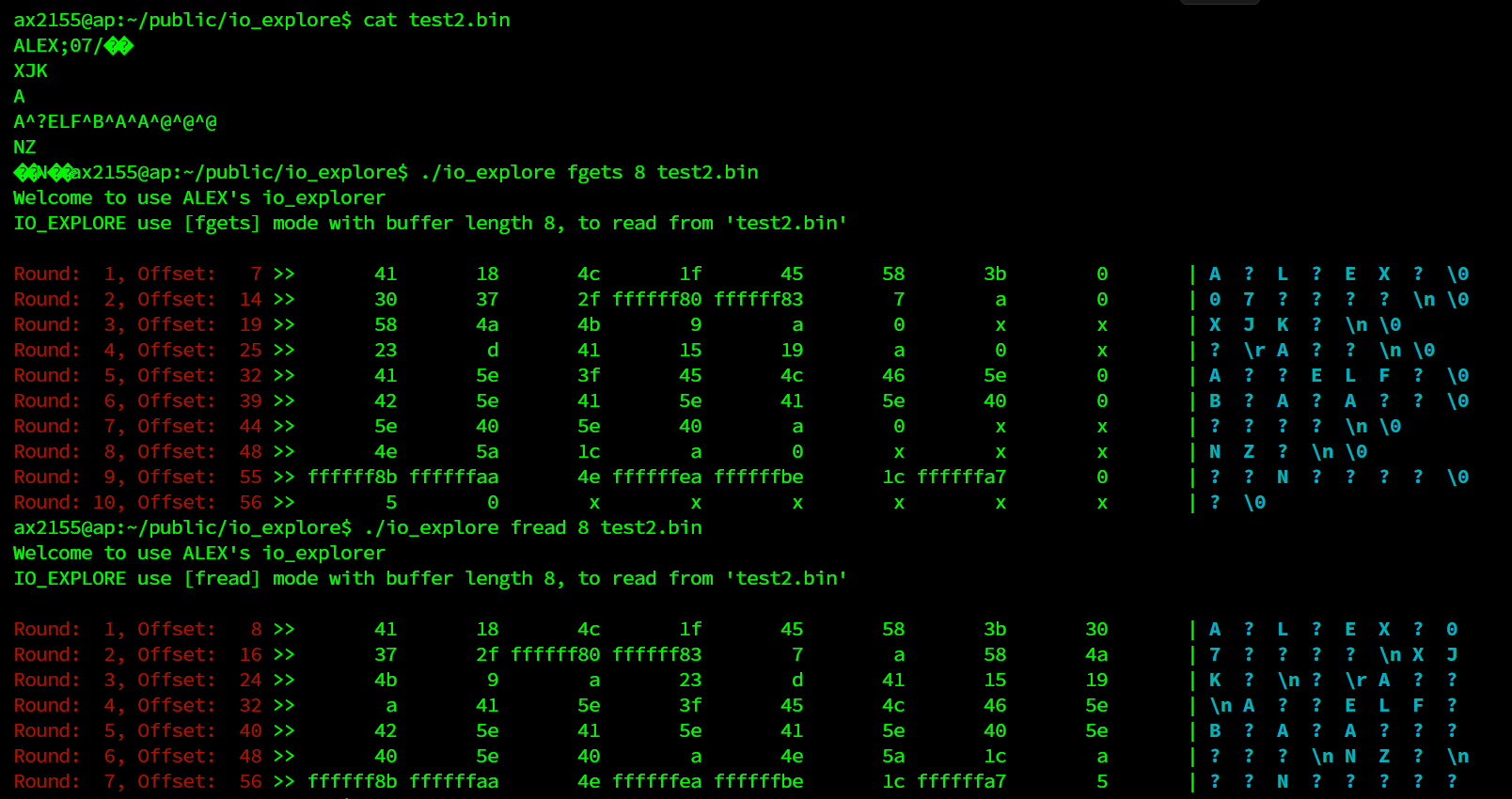 fread_vs_fgets-binary